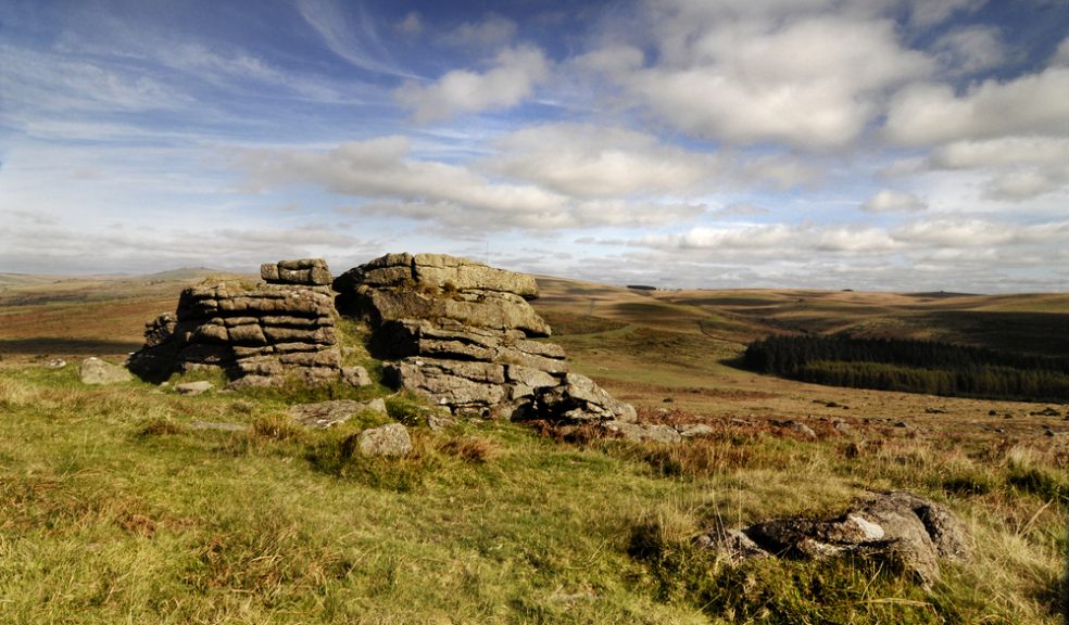 Discover Dartmoor Guided Walk The Exeter Daily
